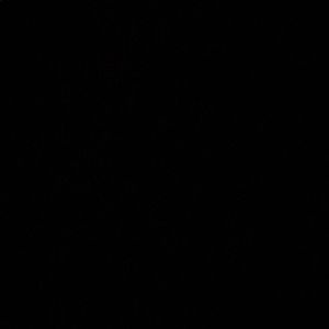 Meet your Posher, Abigail